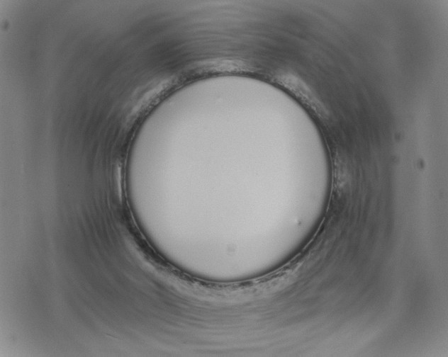 X0000076250014200610191700