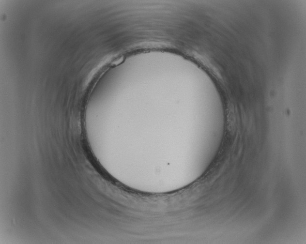 X0000076250015200610191700