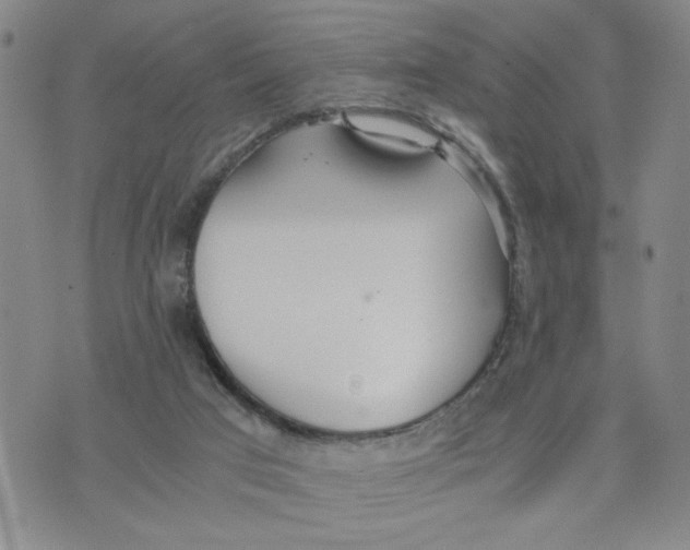 X0000076250017200610191700