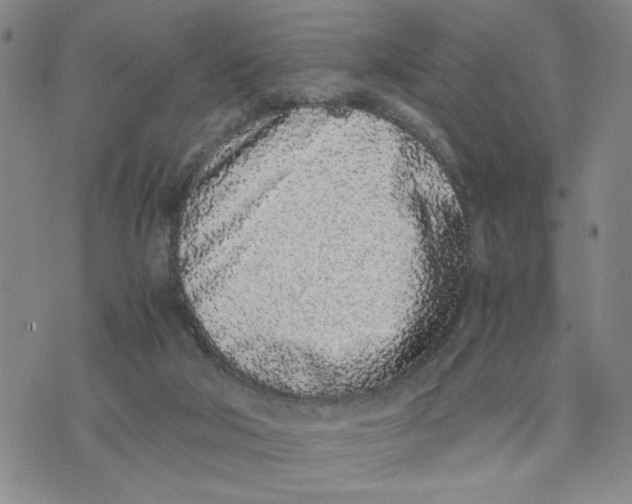 X0000076250018200610191700