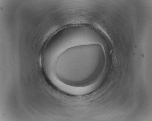 X0000076250019200610191700