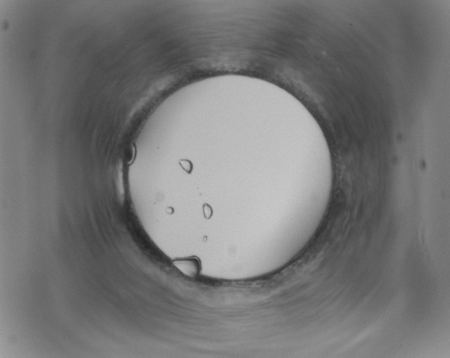 X0000076250020200610191700