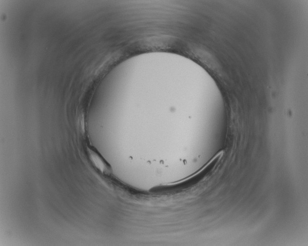 X0000076250021200610191700