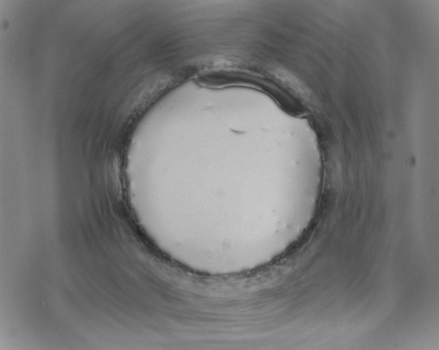 X0000076250022200610191700