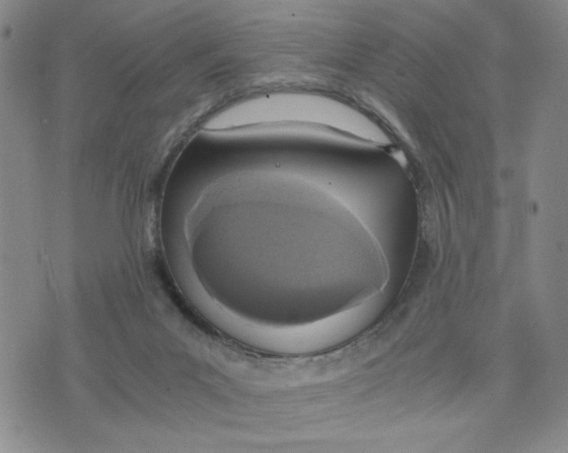 X0000076250023200610191700