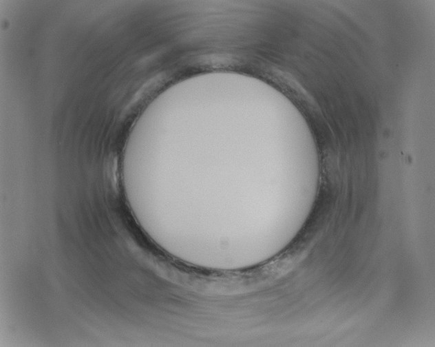 X0000076250024200610191700