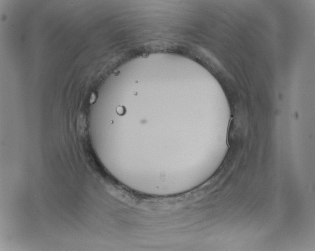 X0000076250025200610191700