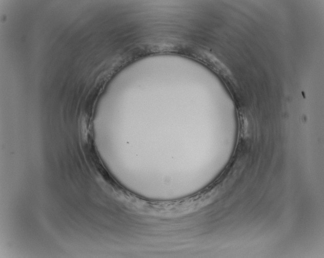 X0000076250026200610191700