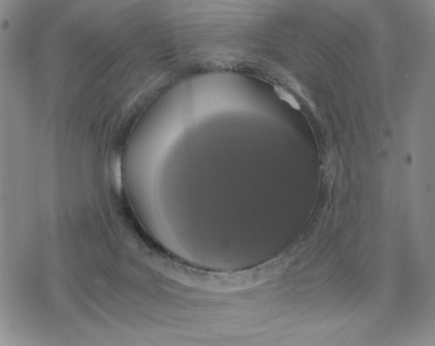 X0000076250027200610191700