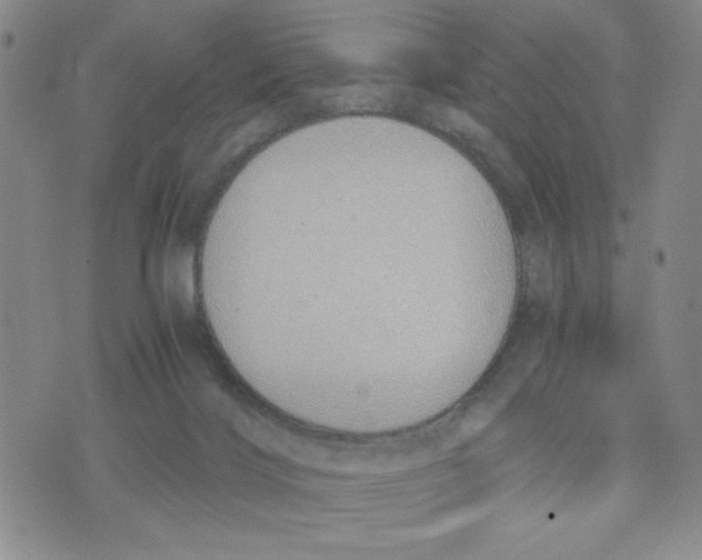 X0000076250028200610191700