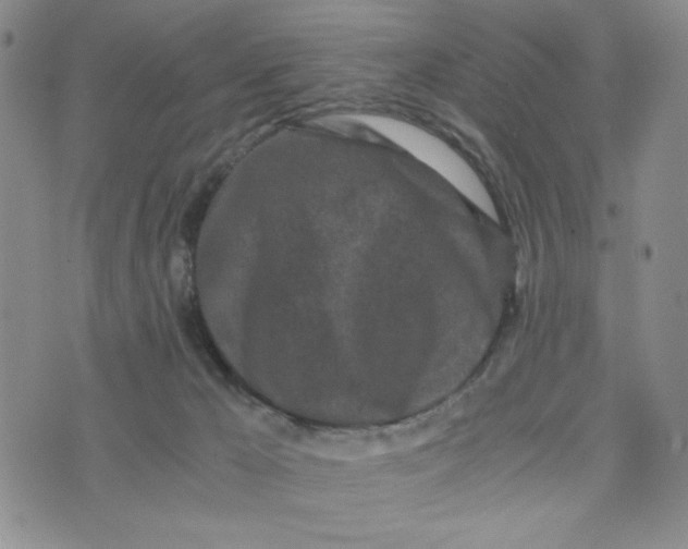 X0000076250029200610191700