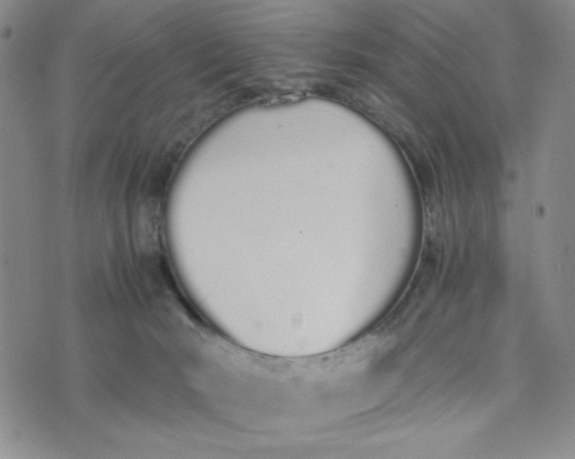 X0000076250030200610191700