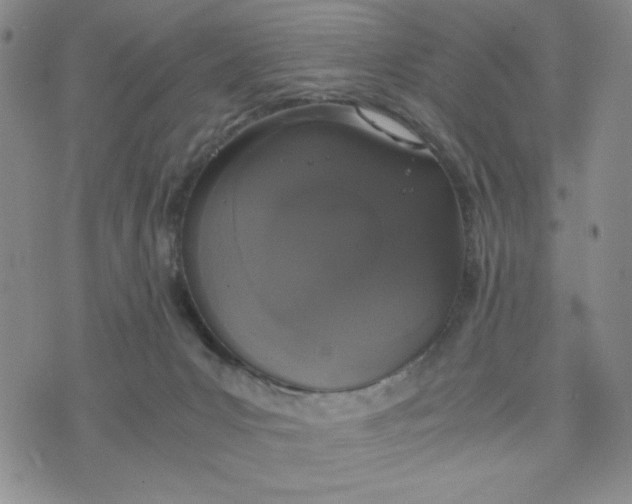 X0000076250031200610191700