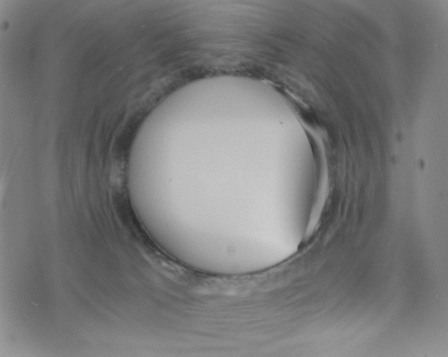 X0000076250033200610191700