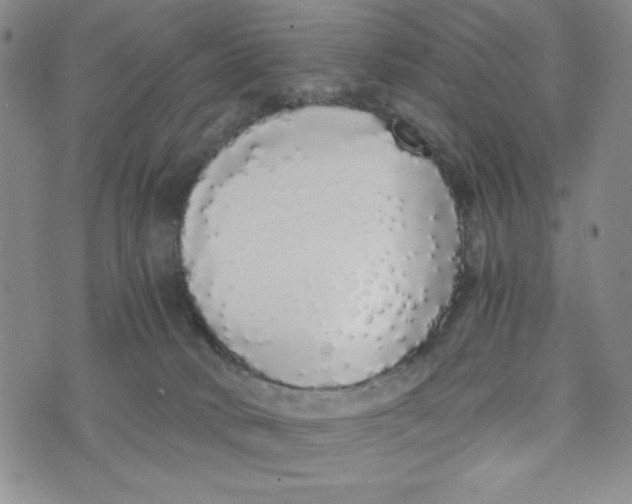 X0000076250034200610191700