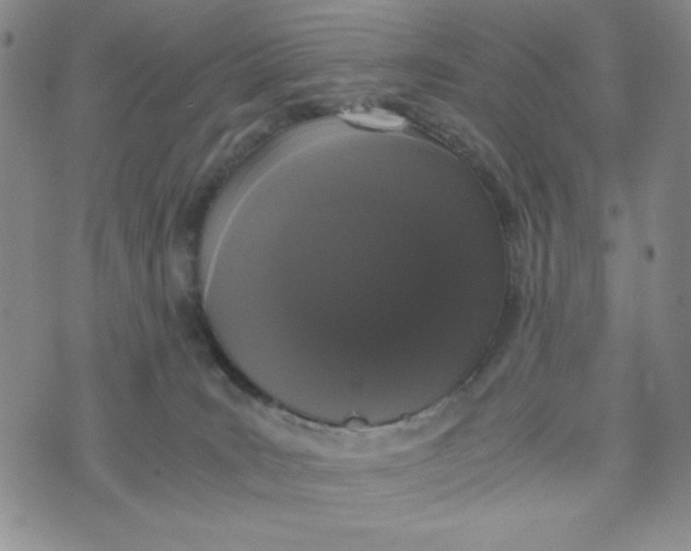 X0000076250035200610191700