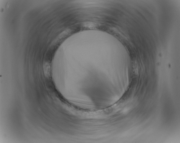 X0000076250036200610191700