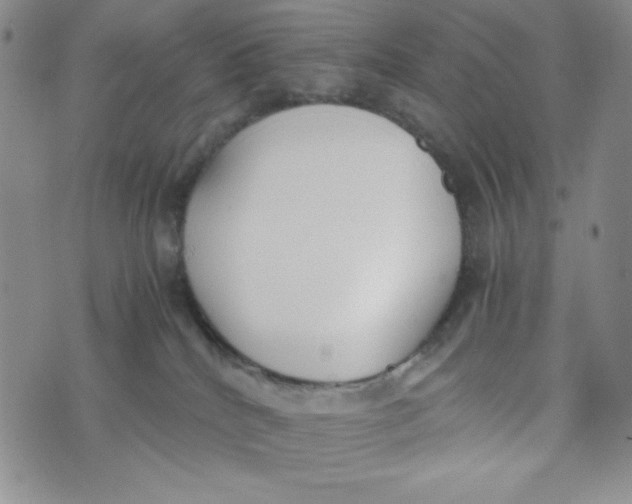 X0000076250040200610191700