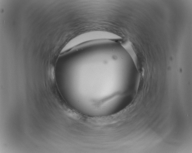 X0000076250041200610191700