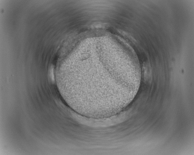 X0000076250042200610191700