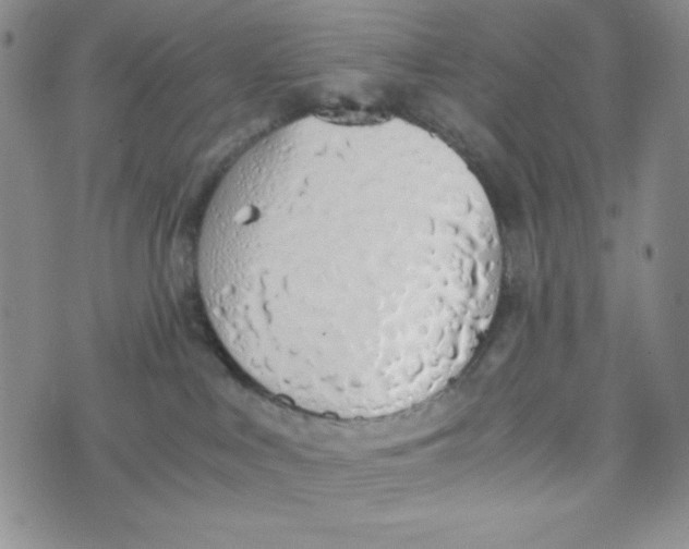 X0000076250043200610191700