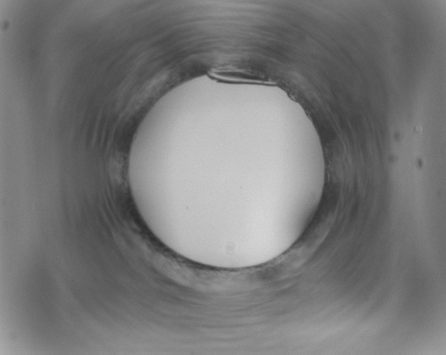 X0000076250044200610191700