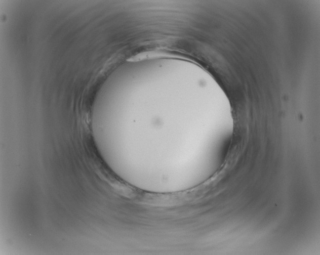 X0000076250045200610191700