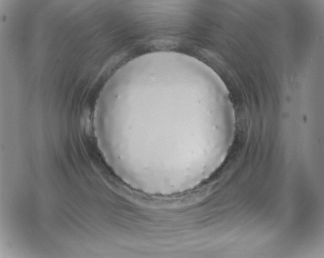 X0000076250046200610191700