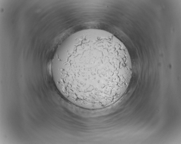 X0000076250047200610191700