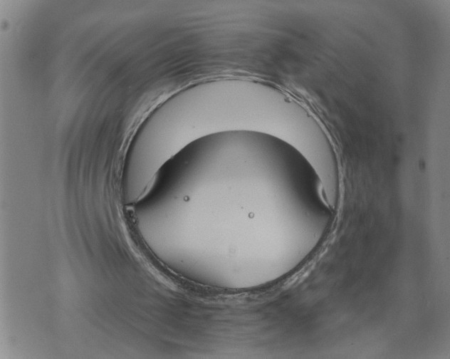 X0000076250049200610191659