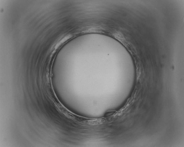 X0000076250050200610191659