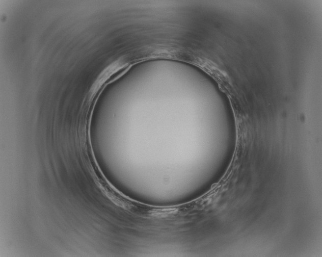 X0000076250051200610191659