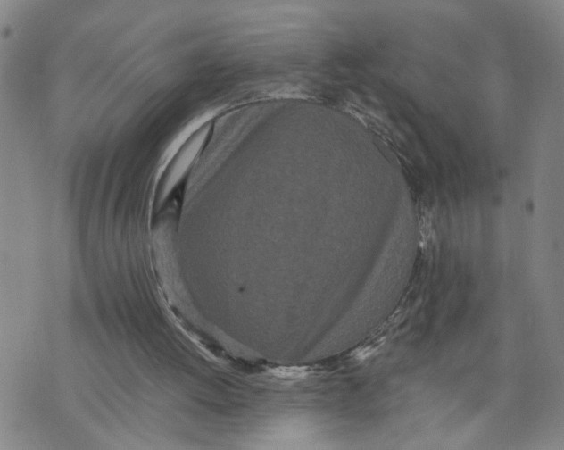 X0000076250052200610191659