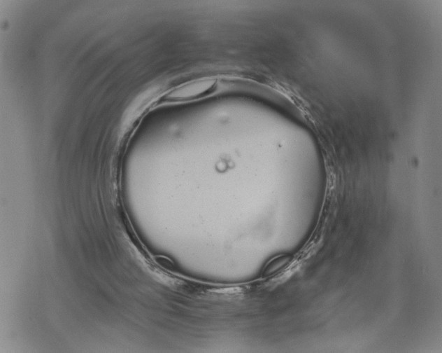 X0000076250053200610191659