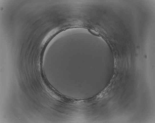 X0000076250054200610191659