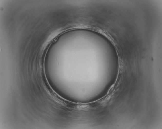 X0000076250055200610191659