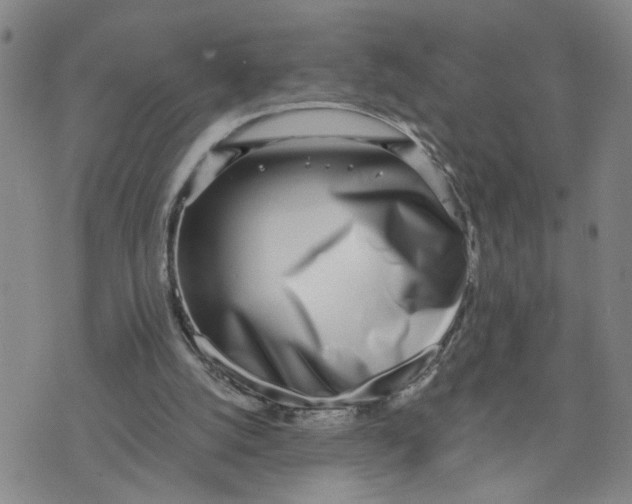 X0000076250056200610191659