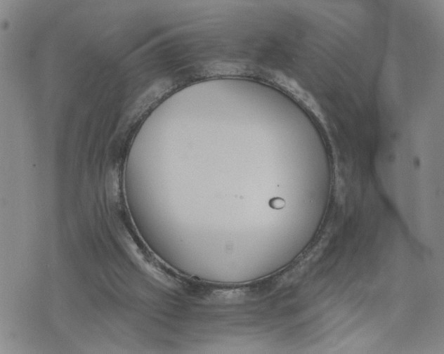 X0000076250057200610191659