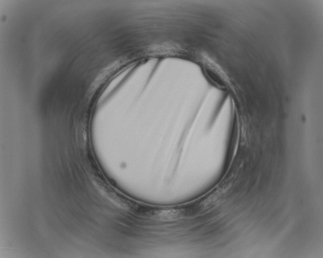 X0000076250059200610191659