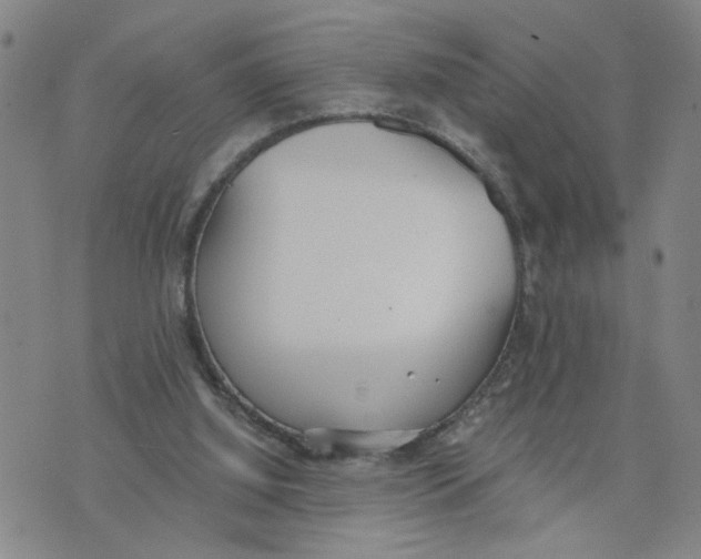 X0000076250060200610191659