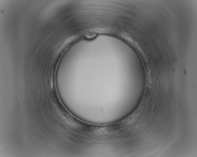 X0000076250062200610191659