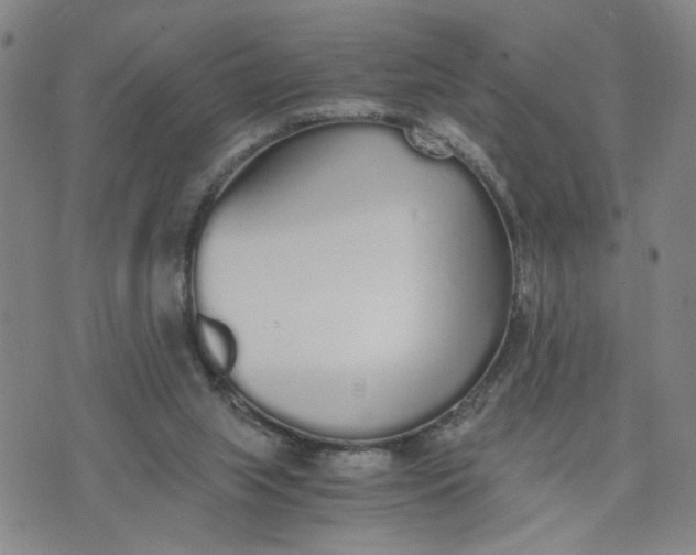 X0000076250063200610191659