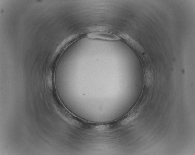 X0000076250064200610191659