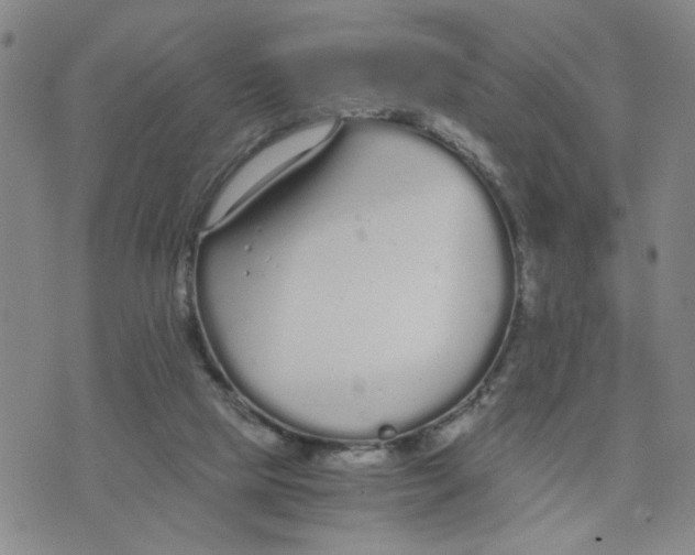 X0000076250065200610191659