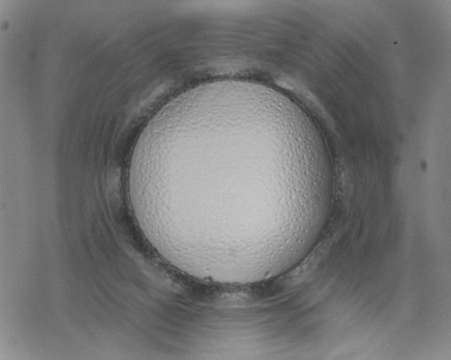 X0000076250066200610191659