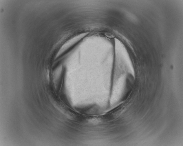 X0000076250067200610191659