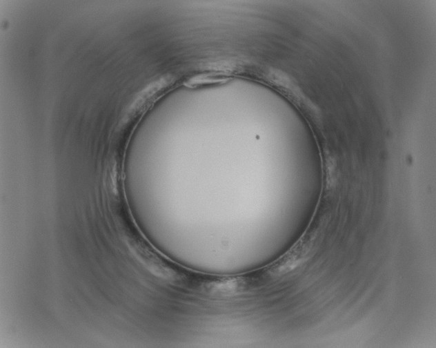 X0000076250068200610191659