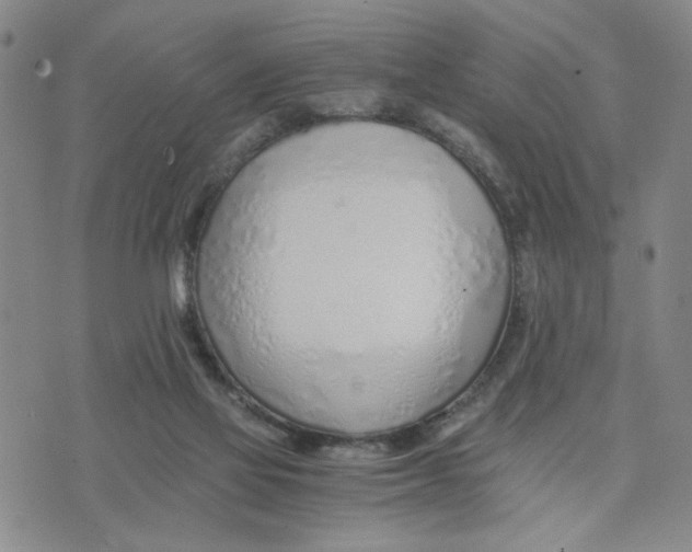 X0000076250069200610191659