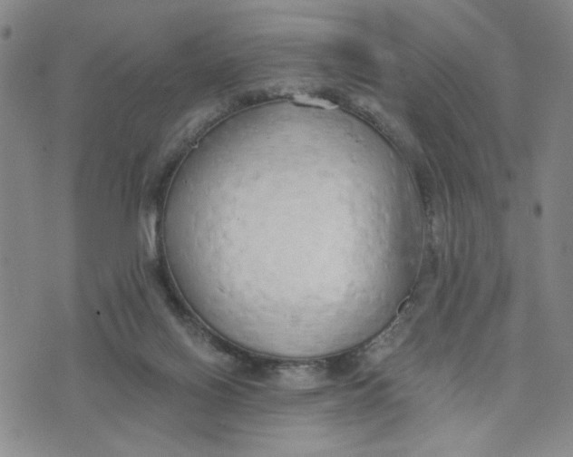 X0000076250070200610191659