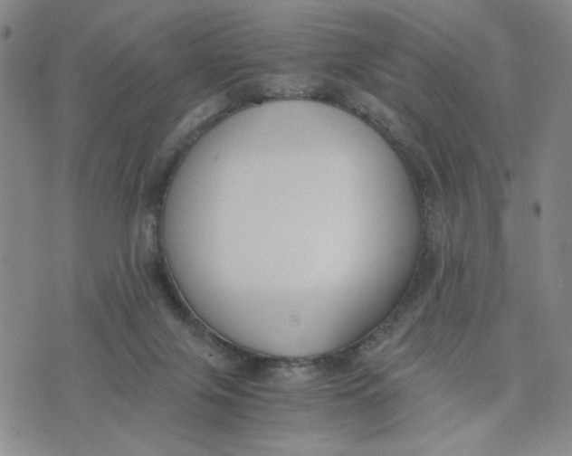 X0000076250071200610191659